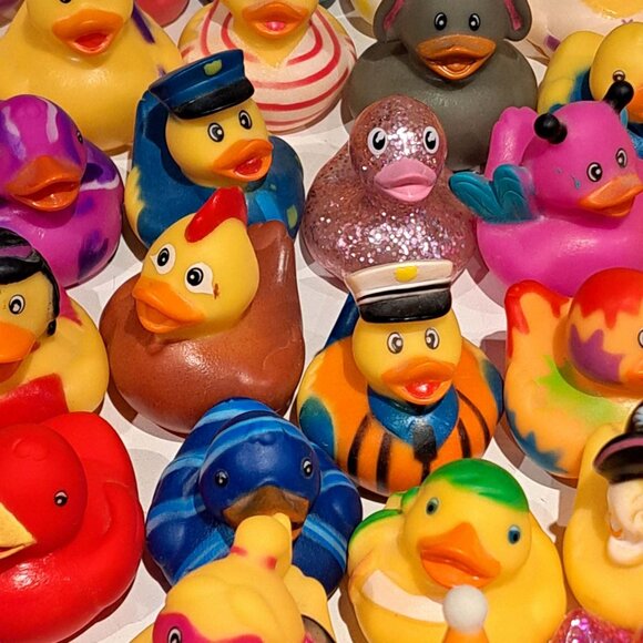 Lot of 69 assorted rubber ducks. Pirates, police men, owls, chicken, princess - Picture 13 of 16